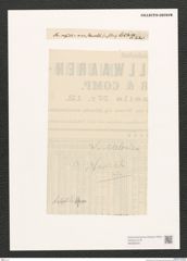 Diatomeae indet. Zeichnungen Sammlung Grunow (NHMW-BOT-W0368408)